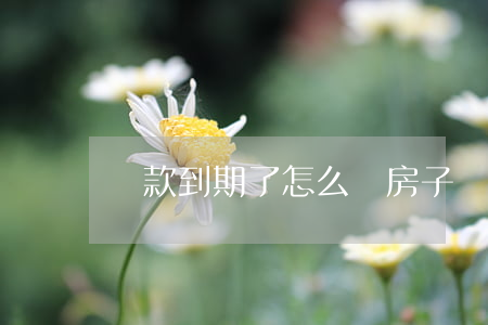 貸款到期了怎么辦(房子貸款到期后怎么辦理)