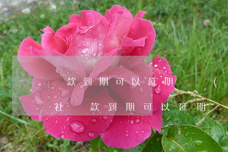 貸款到期可以延期嗎 農(nóng)村信用社貸款到期可以延期嗎