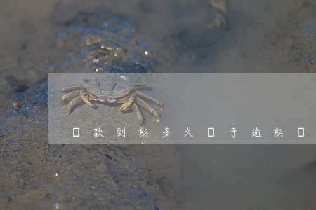 貸款到期多久屬于逾期(貸款多久算逾期)