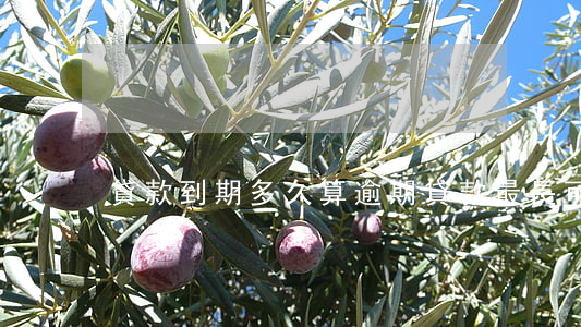 貸款到期多久算逾期(貸款最長可以逾期多久)