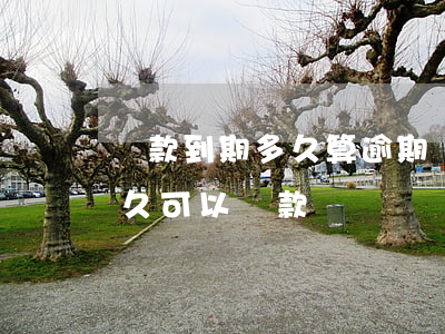 貸款到期多久算逾期還款(貸款逾期還上后,多久可以貸款)