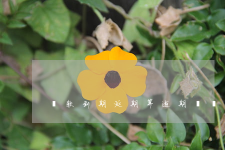 貸款到期延期算逾期嗎(貸款可以逾期多久)