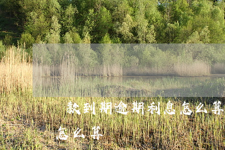 貸款到期逾期利息怎么算(貸款到期逾期利息怎么算)