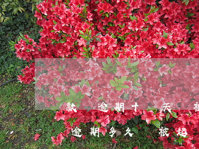 貸款剛逾期十來天會被起訴嗎 銀行貸款10萬逾期多久會被起訴