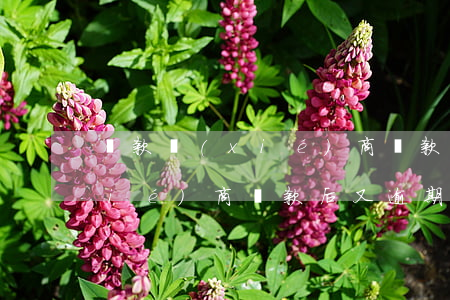 貸款協(xié)商還款后再次逾期(協(xié)商還款后又逾期)