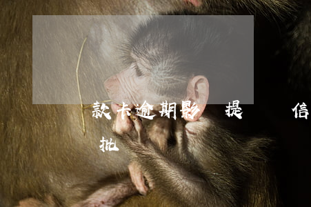 貸款卡逾期影響提額嗎(信用卡降額影響貸款審批嗎)