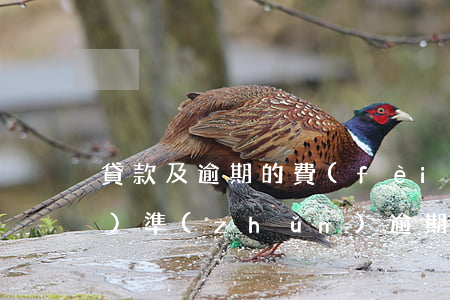 貸款及逾期的費(fèi)用標(biāo)準(zhǔn)(逾期貸款利息的標(biāo)準(zhǔn)計(jì)算)