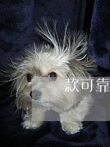 貸款可靠的平臺(貸款可靠的平臺app)