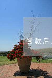 貸款后只還本金 還款只還本金