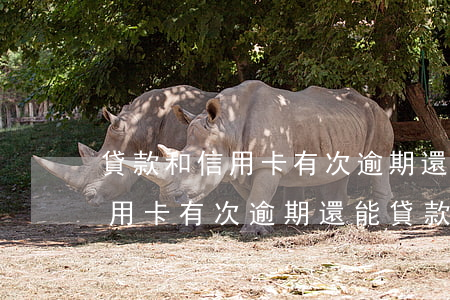 貸款和信用卡有次逾期還能貸款-貸款和信用卡有次逾期還能貸款買房嗎