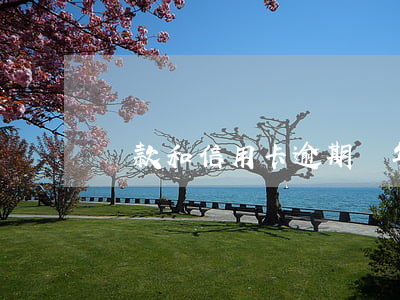 貸款和信用卡逾期幾年(幾年前信用卡逾期)