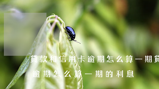 貸款和信用卡逾期怎么算一期(貸款和信用卡逾期怎么算一期的利息)