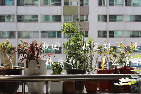 貸款回訪說你逾期記錄怎么消除-貸款回訪說你逾期記錄怎么消除呢