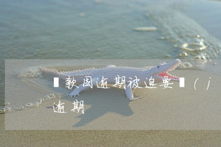 貸款因逾期被迫要結(jié)清(貸款還款逾期)