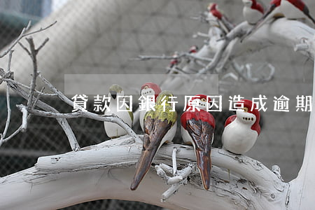 貸款因銀行原因造成逾期(銀行貸款逾期還款)
