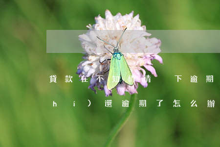 貸款在不知情情況下逾期(貸款未能按時(shí)還 逾期了怎么辦)