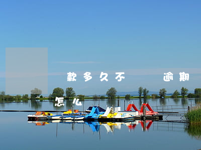 貸款多久不還變逾期(貸款逾期三年了還不上怎么辦)