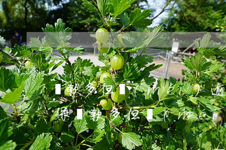 貸款多但沒(méi)逾期有擔(dān)保(貸款多但沒(méi)逾期有擔(dān)保)