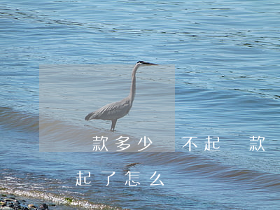 貸款多少還不起(貸款幾十萬(wàn)還不起了怎么辦)