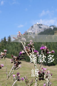 貸款多少金額可以立案（貸款多少額度會被起訴）