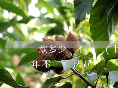 貸款多少錢不還會(huì)被起訴(貸款幾年不還無法起訴)