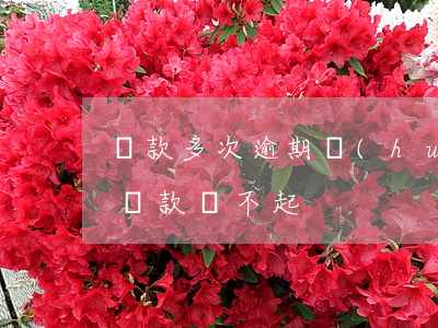 貸款多次逾期會(huì)有什么后果（多次貸款還不起）