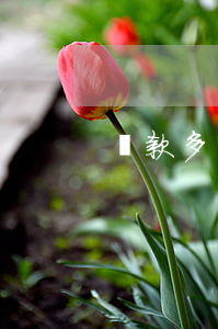 貸款多還不上怎么辦 貸款多還不起怎么辦
