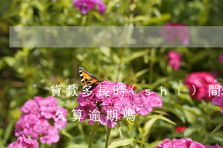 貸款多長時(shí)間為逾期(貸款利息多久算逾期嗎)
