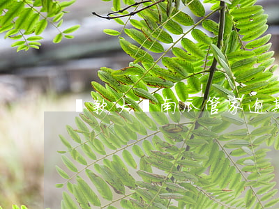 貸款大師南瓜管家逾期
