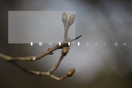 貸款大師閃現(xiàn)貸逾期(閃貸借款王)