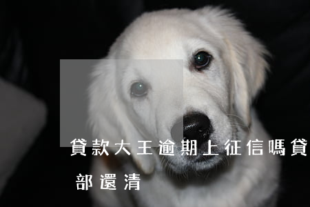 貸款大王逾期上征信嗎(貸款大王逾期要求全部還清)