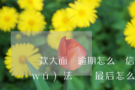 貸款大面積逾期怎么辦信用卡(貸款巨大無(wú)法償還最后怎么辦)