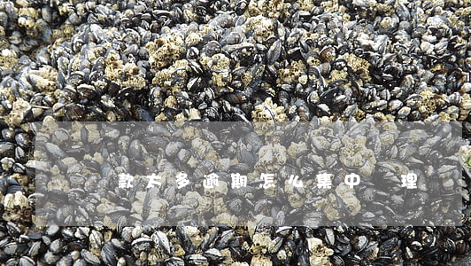 貸款太多逾期怎么集中處理
