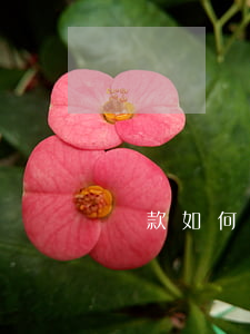 貸款如何不逾期(貸款如何不逾期呢)