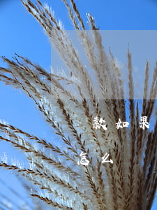 貸款如果本人還不起(貸款如果本人還不起錢怎么辦)
