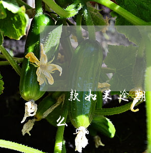 貸款如果逾期還不上(銀行貸款逾期還不上怎么辦)