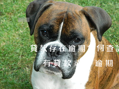 貸款存在逾期如何查詢(怎么查詢自己名下有沒有貸款或者逾期)