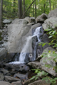 貸款客戶逾期表格模板(貸款逾期通知單模板)