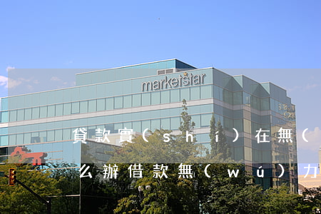 貸款實(shí)在無(wú)力償還該怎么辦(借款無(wú)力償還怎么辦)