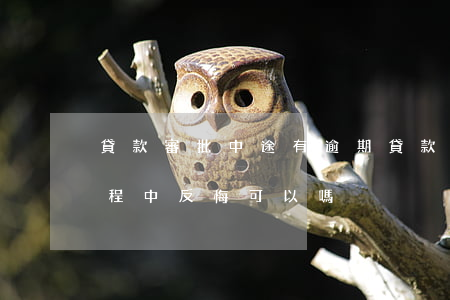貸款審批中途有逾期(貸款審批過(guò)程中反悔可以嗎)