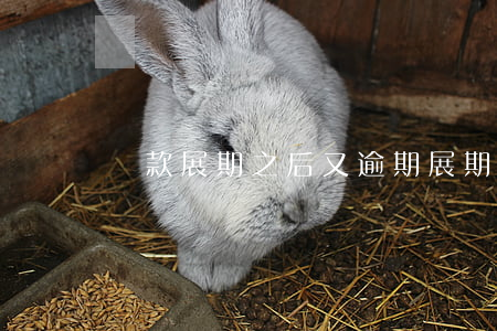 貸款展期之后又逾期(展期貸款是不良貸款嗎)
