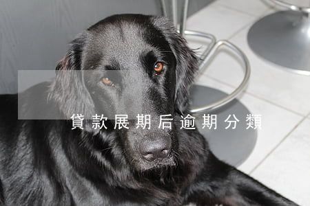 貸款展期后逾期分類