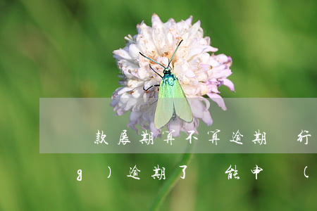 貸款展期算不算逾期(銀行貸款已經(jīng)逾期了還能申請(qǐng)展期嗎)