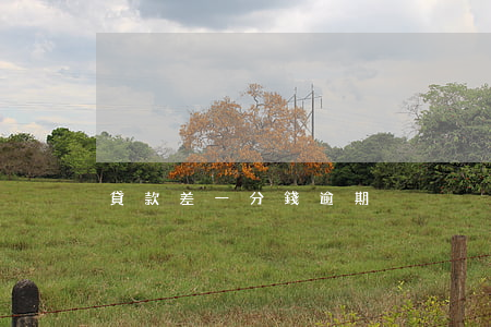 貸款差一分錢逾期