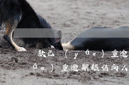 貸款已嚴(yán)重逾期短信(貸款嚴(yán)重逾期短信,向人民法院申請(qǐng)凍結(jié)名下銀行賬戶)