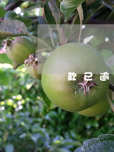 貸款已逾期，貸款已逾期是什么意思