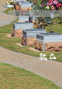 貸款已還逾期擔(dān)保人