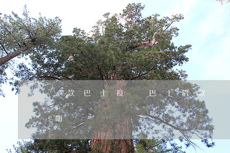 貸款巴士投訴（巴士借款現(xiàn)在逾期）