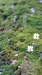 貸款平臺(tái)上面有已逾期(打電話說我貸款逾期,又不知道是哪個(gè)平臺(tái))