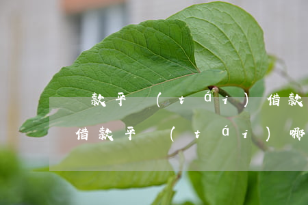 貸款平臺(tái)借款逾期怎么辦(有逾期借款平臺(tái)哪個(gè)容易通過(guò))